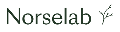 NorseLab Logo